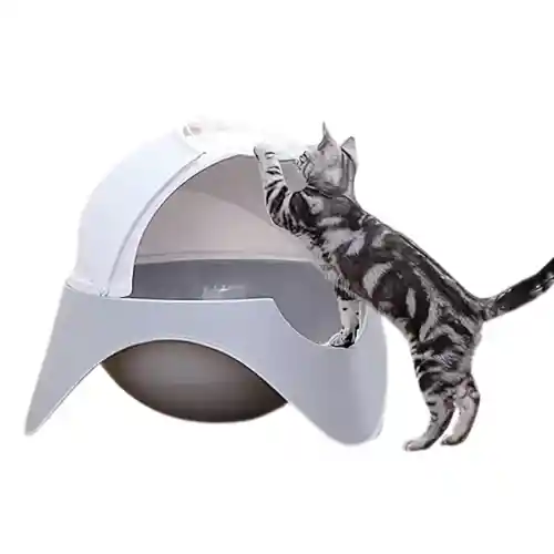 Caja De Arena Para Gatos Con Bandeja De Plástico Semicerrada