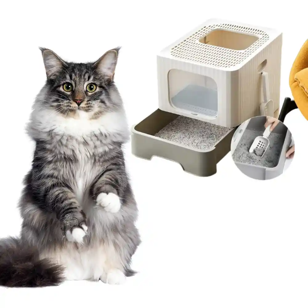 Caja De Arena Cuadrada Para Gatos Plegable + Pala