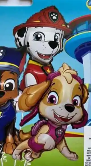 Bouquet Paw Patrol