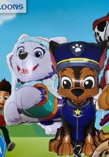 Bouquet Paw Patrol