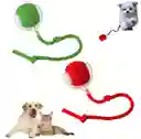 Pelota Inteligente Para Mascotas, Recargable