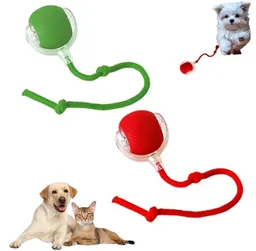 Pelota Inteligente Para Mascotas, Recargable