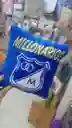 Cojin Peluche De Millonarios