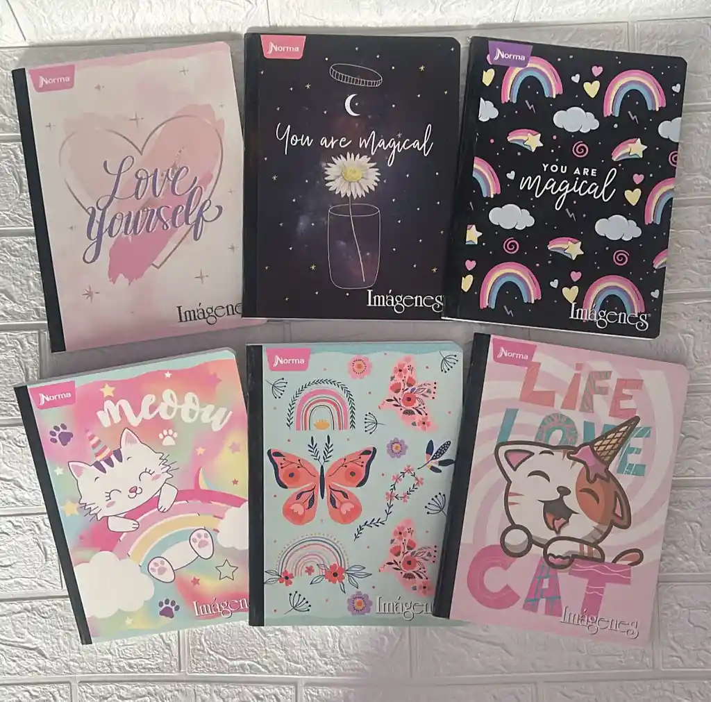 Cuaderno Cocido 100h Linea Niña Norma Sencillo