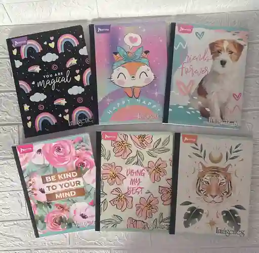 Cuaderno Cocido 100h Linea Niña Norma Sencillo