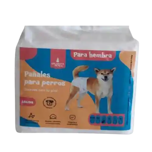 Pañal Para Perro Talla M Hembra