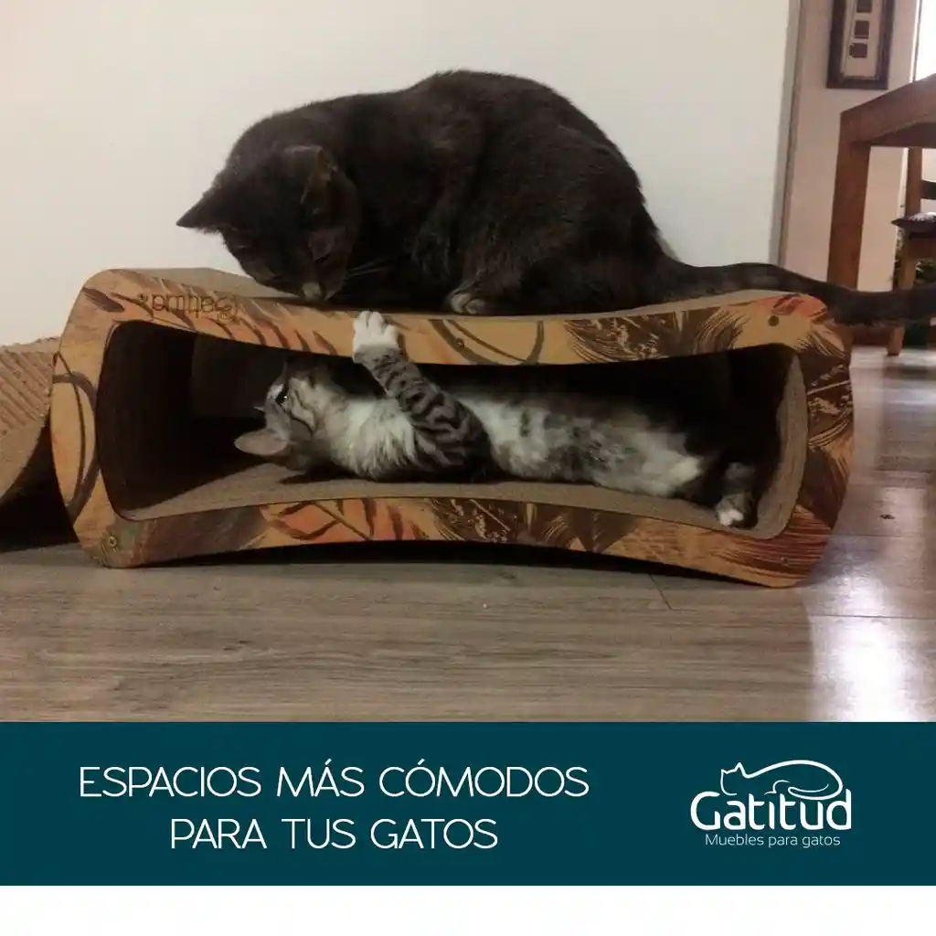 Rascador Para Gato Infinito Rascadores Para Gatos Gimansio Para Gatos Rascador Gato