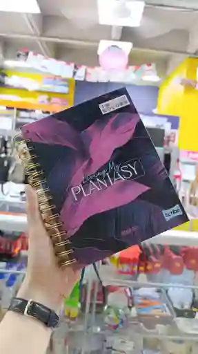 Agenda Incolors 2025