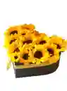 Caja Corazón De Girasoles