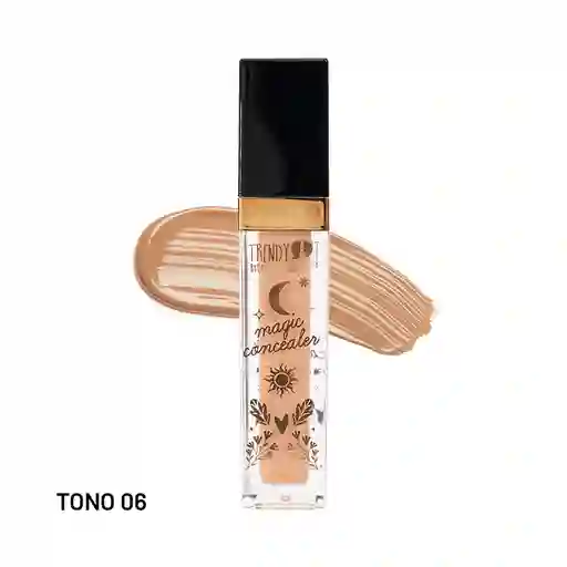 Corrector Profesional Magic Grande 14g Ref Mg11 Tono 06