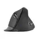 Mouse Ergonómico Recargables