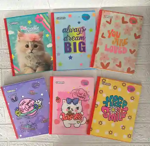 Cuaderno Cocido 100h Linea Niña Torreon Con Stickers