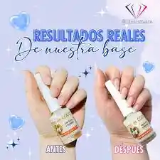 Base Tratamiento Leche De Coco
