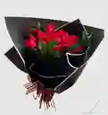 15 Rosas Rojas