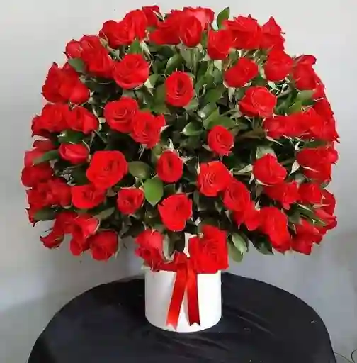 Cilindro De 100 Rosas Rojas Con Follaje