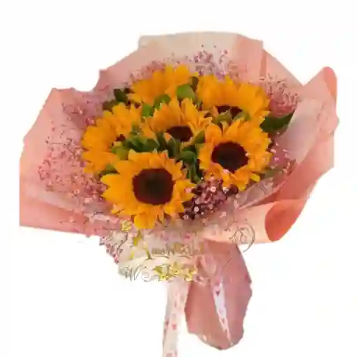 Girasoles Por 6