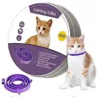 Collar Feromonas Para Gatos