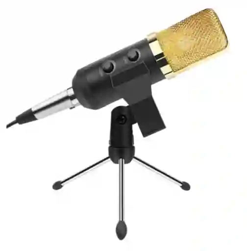 Micrófono Con Condensador Bm-858: Tu Aliado Para La Creatividad Musical