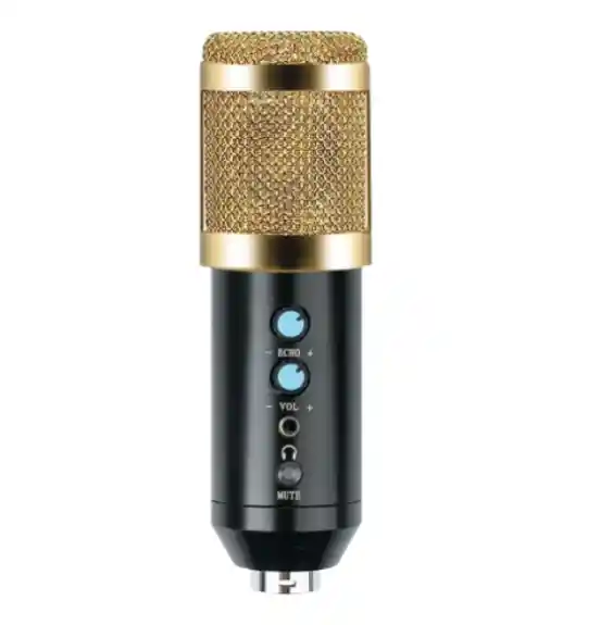Micrófono Con Condensador Bm-858: Tu Aliado Para La Creatividad Musical