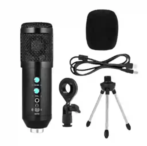 Microfono Con Condensador Y Con Soporte Bm-828