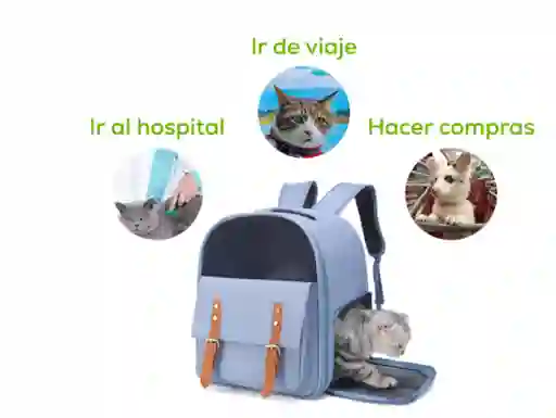 Mochila Transporte Mascotas Diseño Maleta