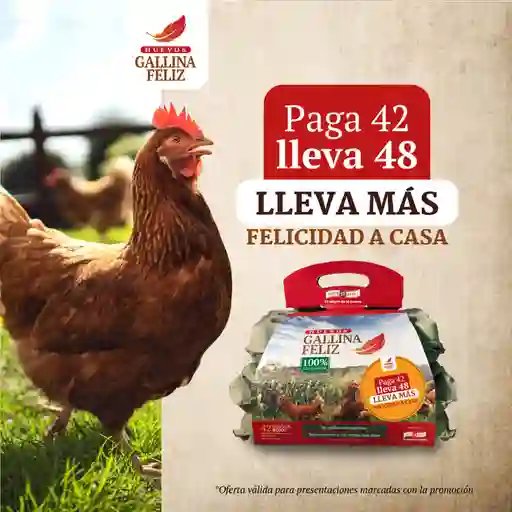 Gallina Feliz - Paga 42 Lleva 48