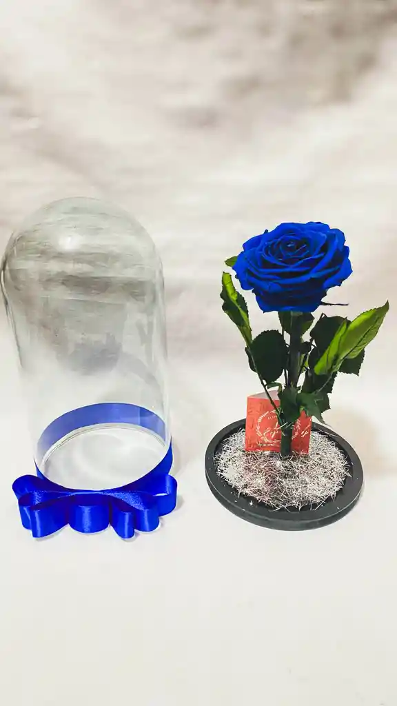 Rosa Preservada Azul