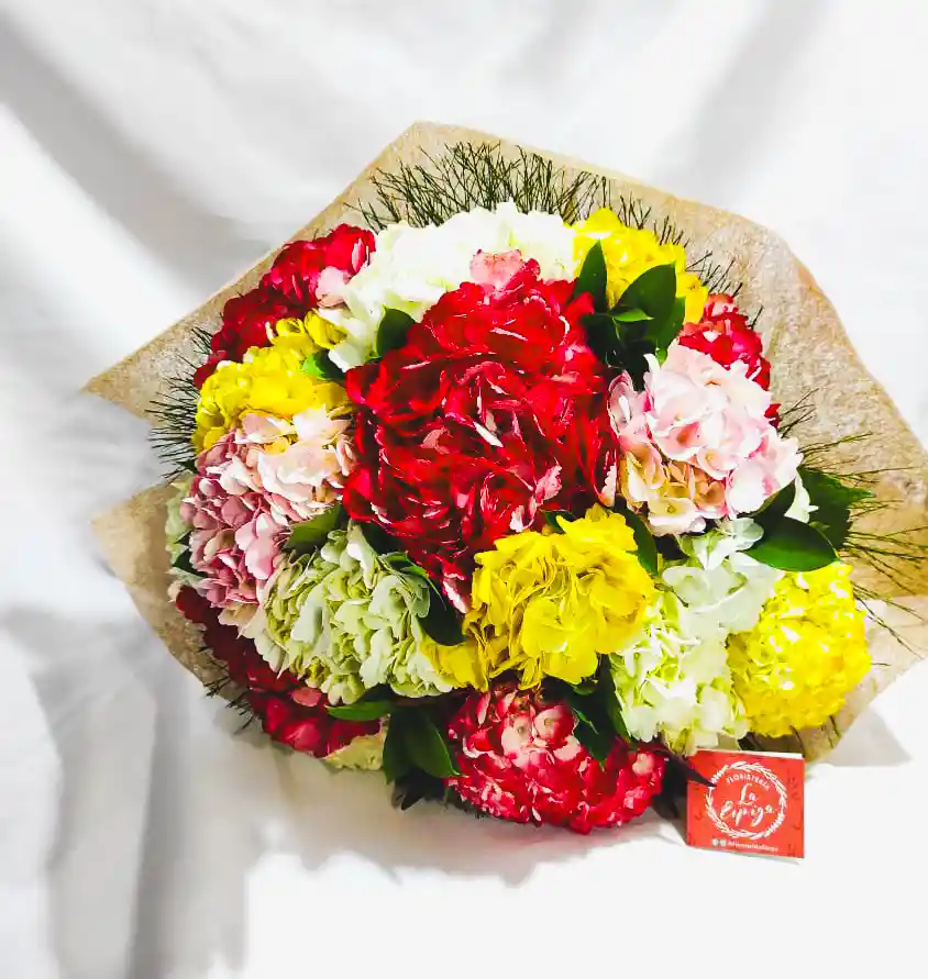 Bouquet De Hortensias Mix