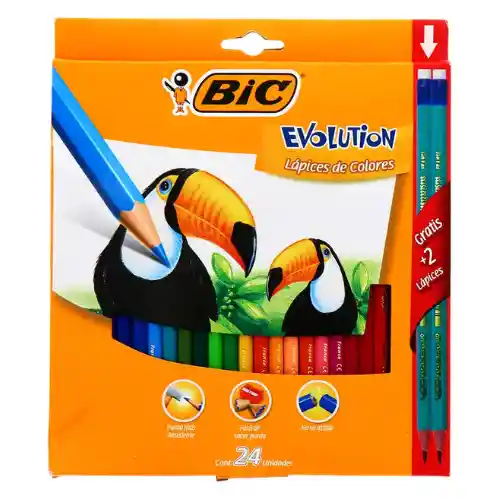 Colores Bic 24unid +2lapiz