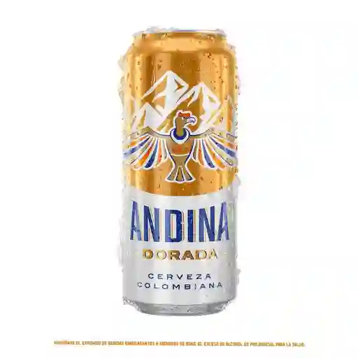 Cerveza Andina - Lata X 473 Ml (latón)