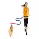 Correa Elástica Para Trote Con Mascota Verde