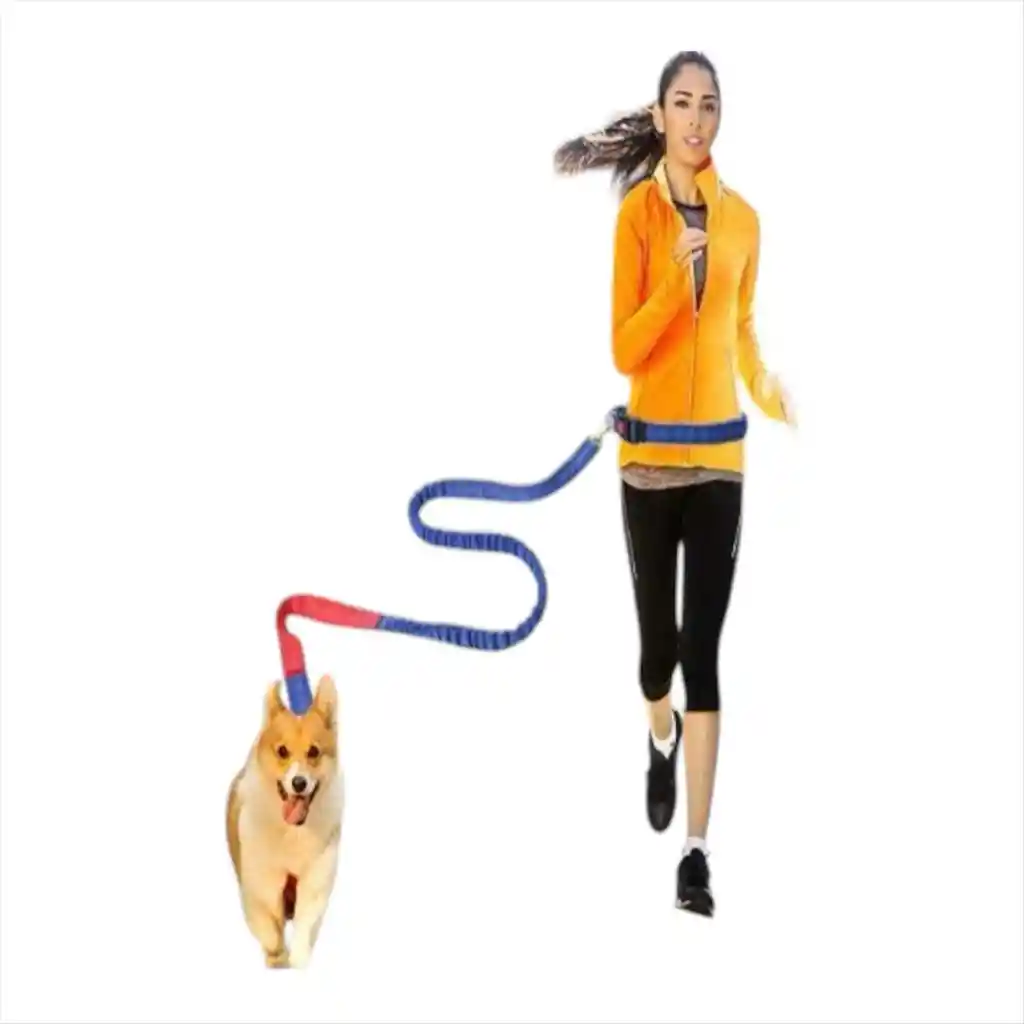 Correa Elástica Para Trote Con Mascota Verde