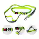 Correa Elástica Para Trote Con Mascota Verde