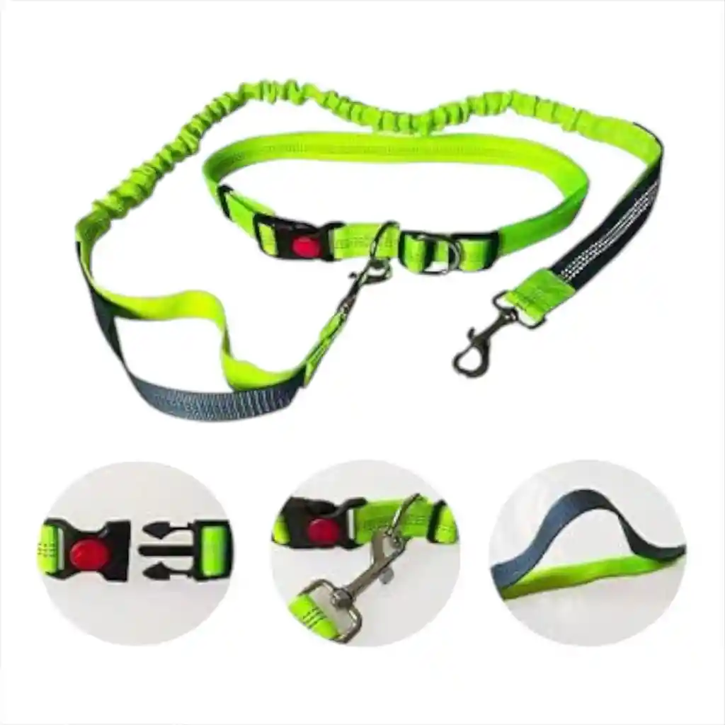Correa Elástica Para Trote Con Mascota Verde