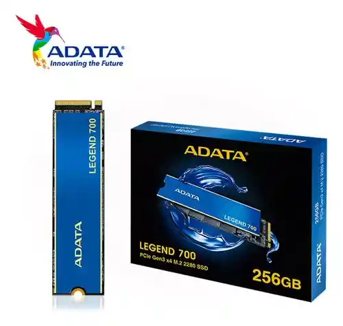 Disco Sólido (ssd) Legend 700 256 Gb Pcle Gen3