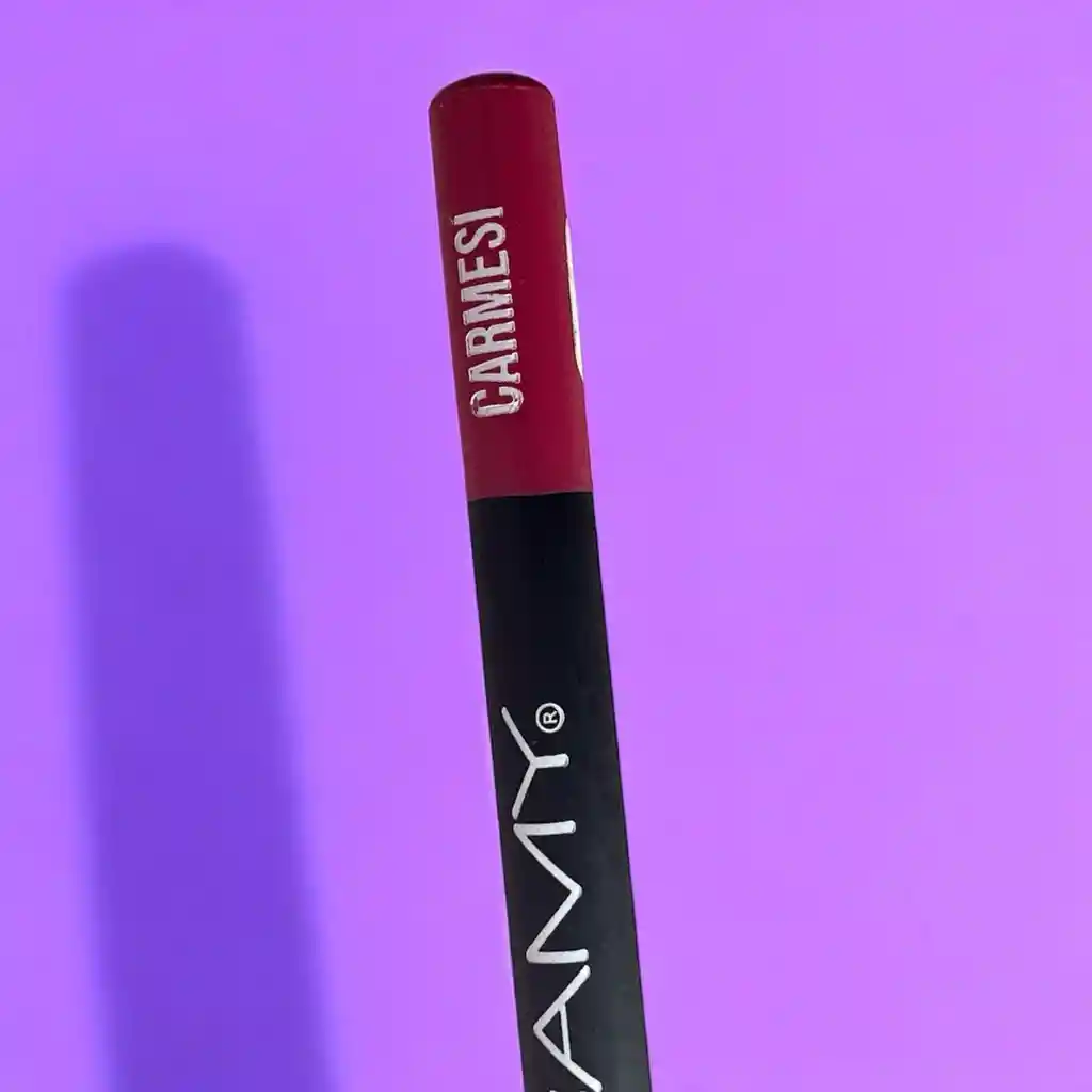 Lapiz De Labios Samy