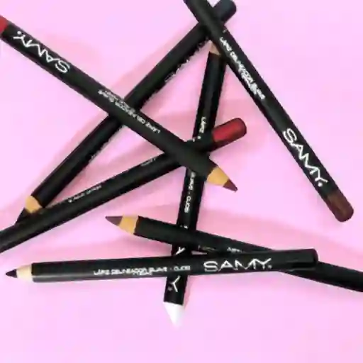Lapiz De Labios Samy