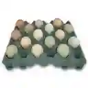 Huevo Jumbo X15 Und