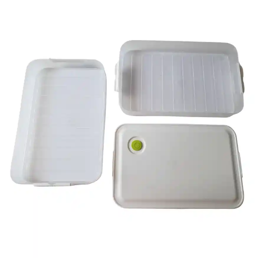 Caja Almacenadora De Alimentos Para El Congelador