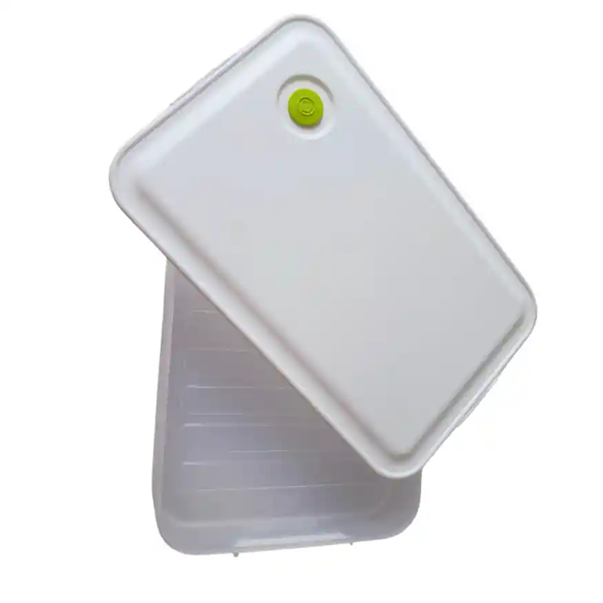 Caja Almacenadora De Alimentos Para El Congelador