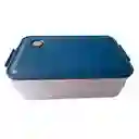 Caja Almacenadora De Alimentos Para El Congelador
