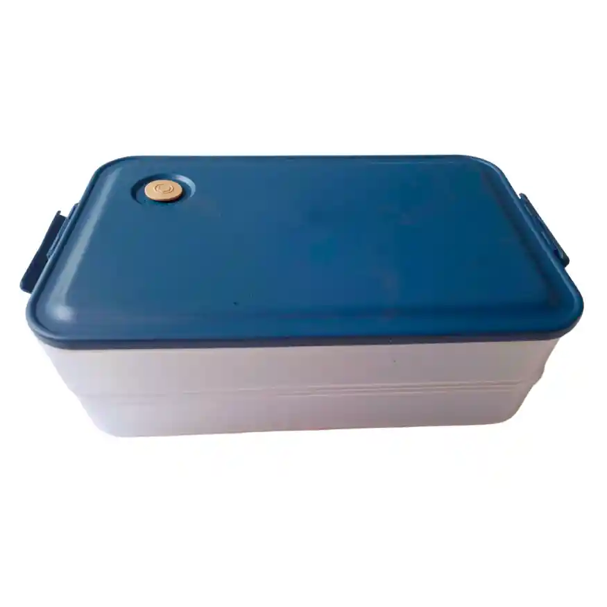 Caja Almacenadora De Alimentos Para El Congelador