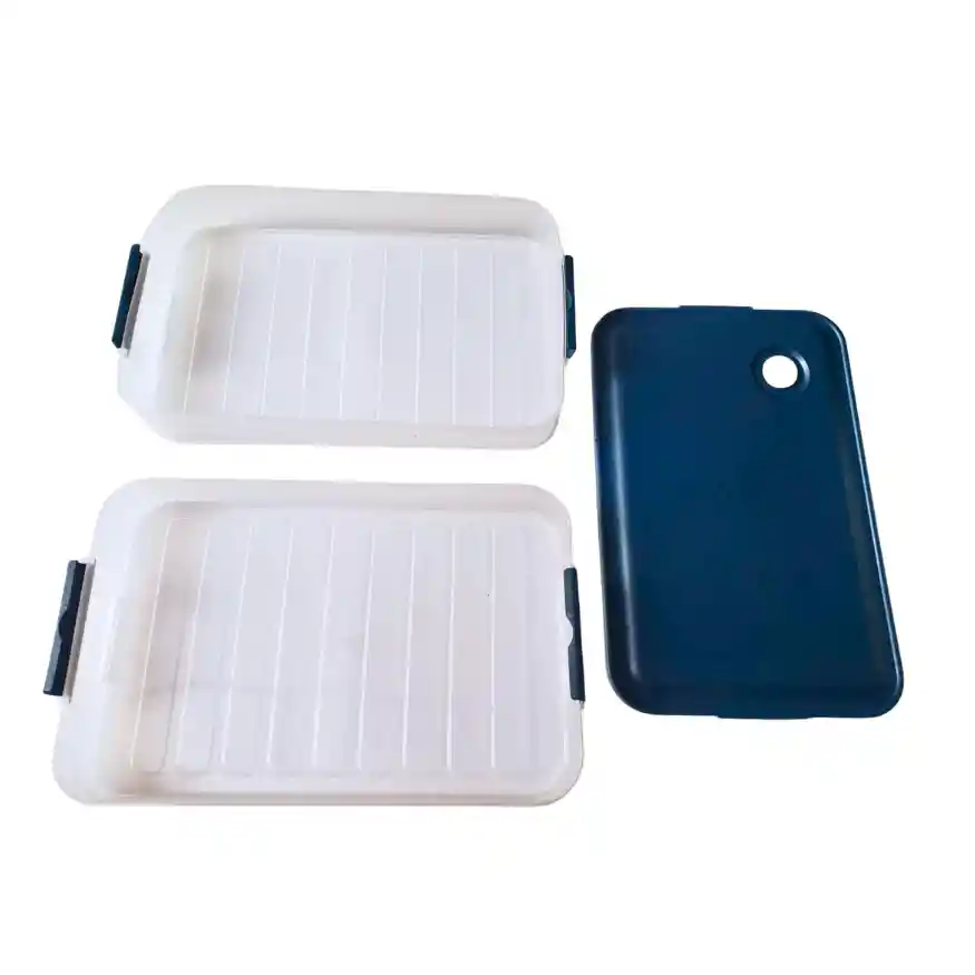 Caja Almacenadora De Alimentos Para El Congelador