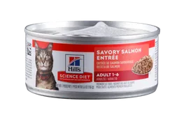 Hills F Adult Salmon 5,5 Oz