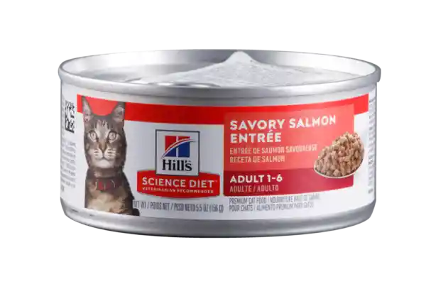 Hills F Adult Salmon 5,5 Oz