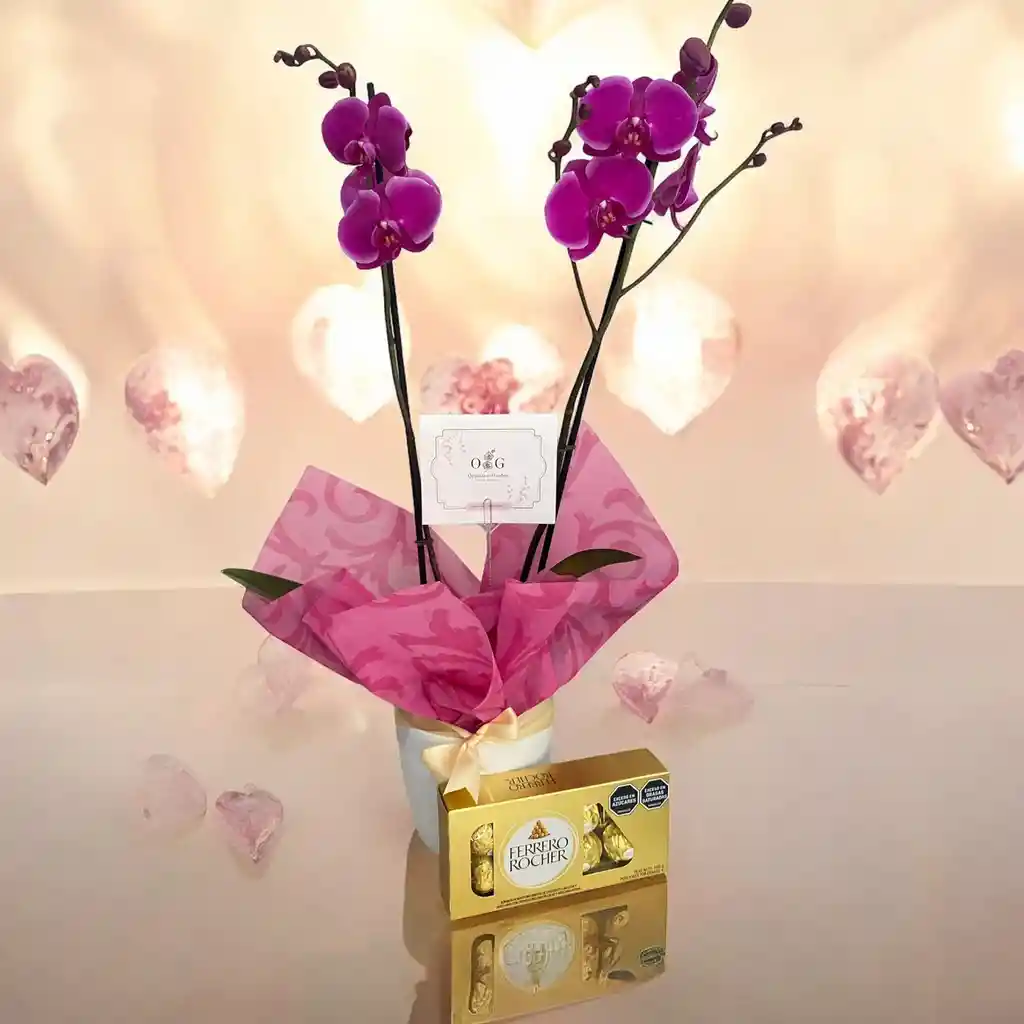 Kit Dia De La Mujer Orquideas Ferreros X8