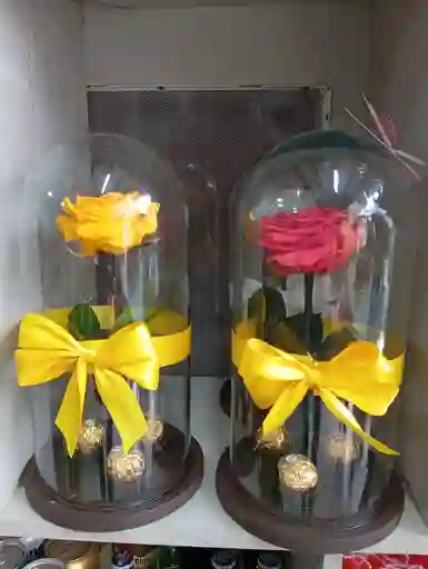 Rosas Preservadas