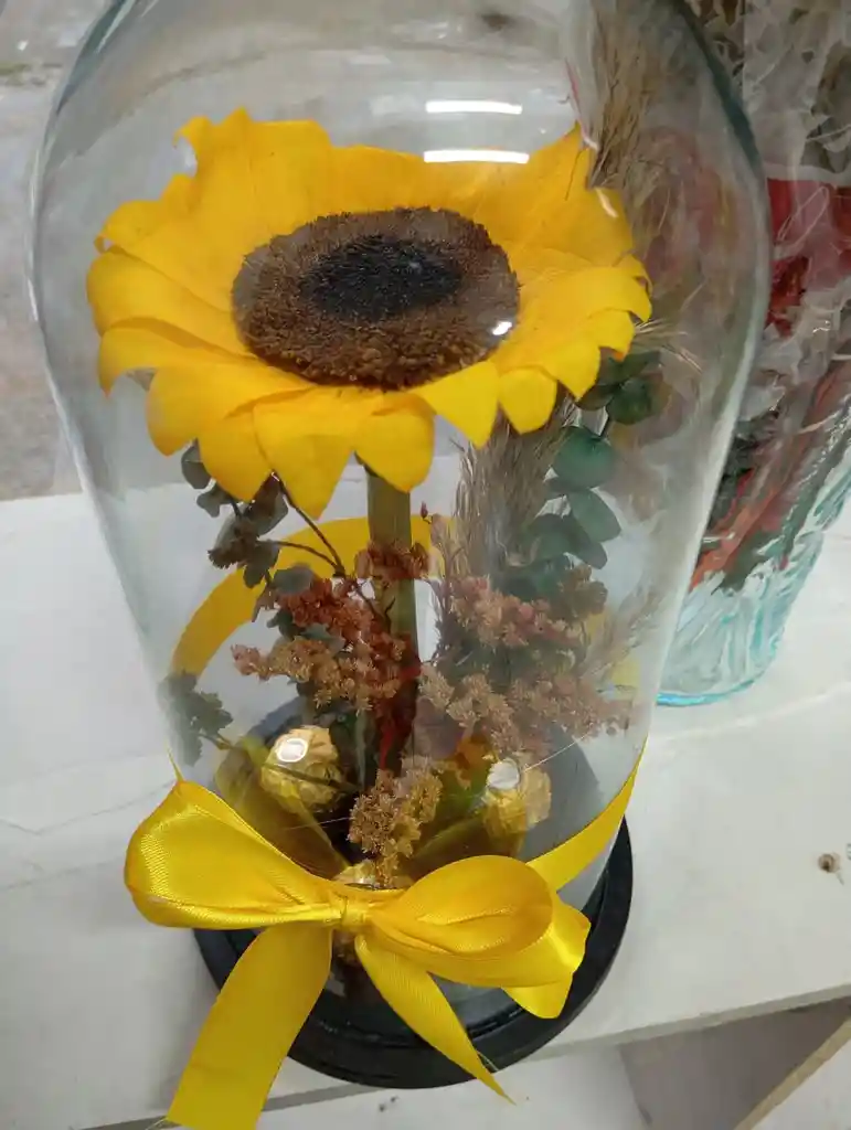 Girasol Preservado