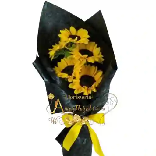 Girasoles En Cali