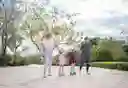 Patines En Línea 2 En 1 Rosados Ajustables Para Niños